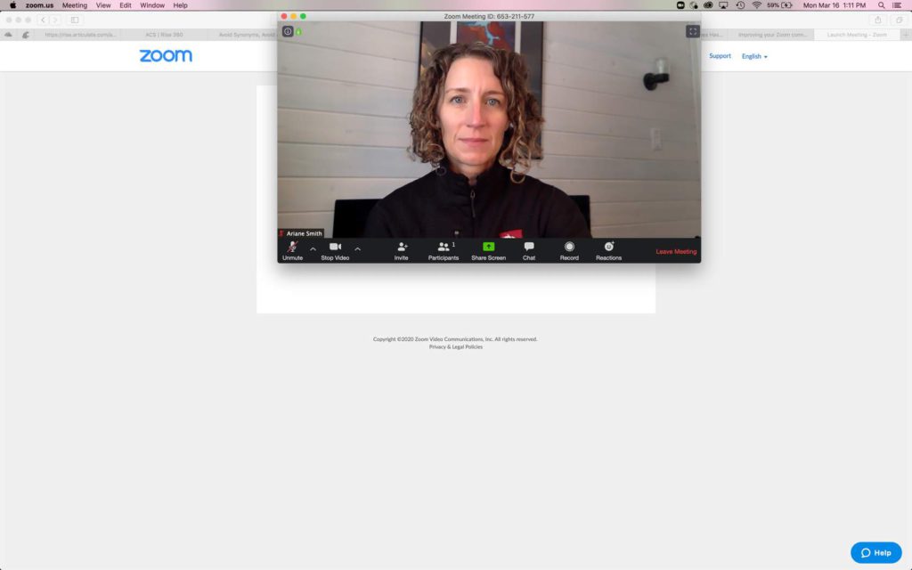 Ariane on Zoom using her camera