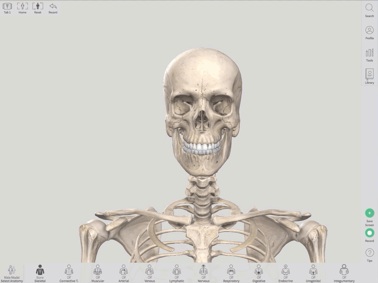 3D4-medical-gif1