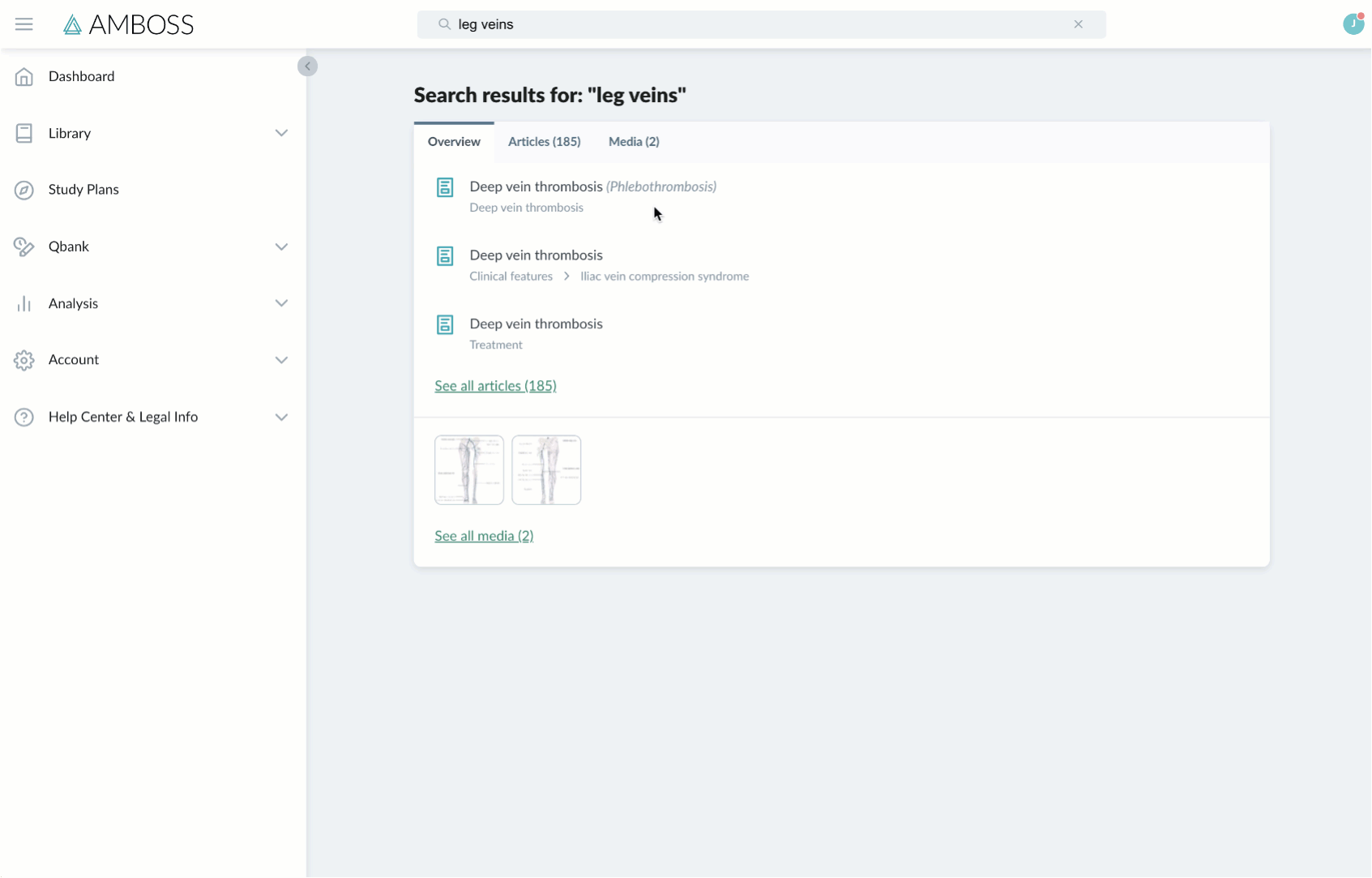 amboss-demonstration-interact-images-gif