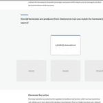 Rise360-tab2-image