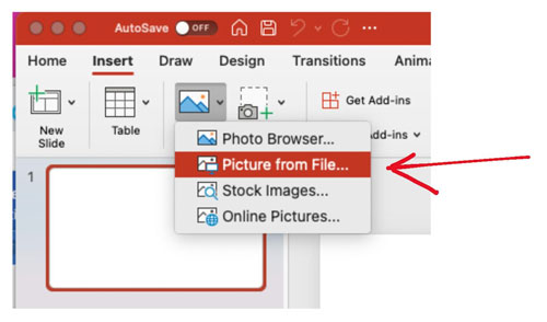 visualdx-picture-from-file-image