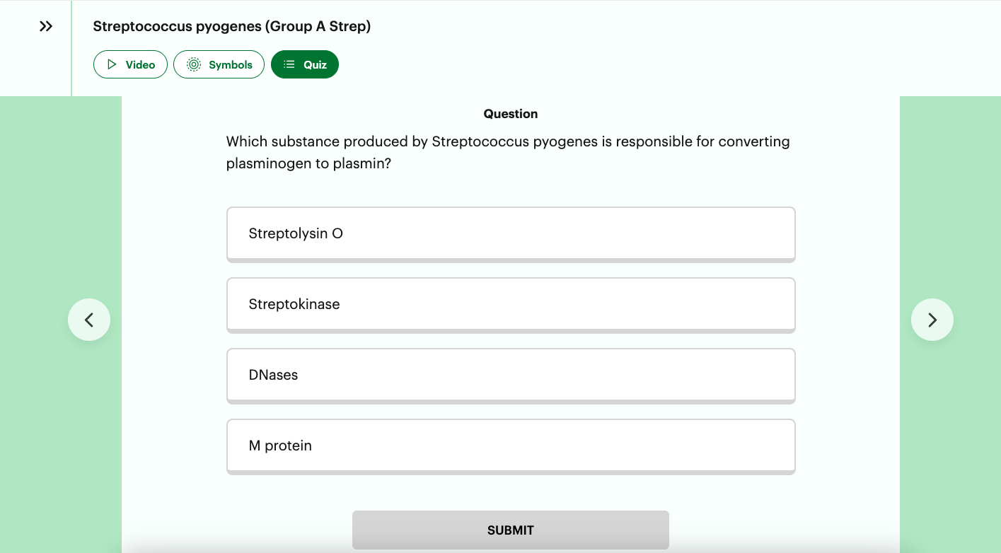 What the screen looks like on a Sketchy Quiz question.
