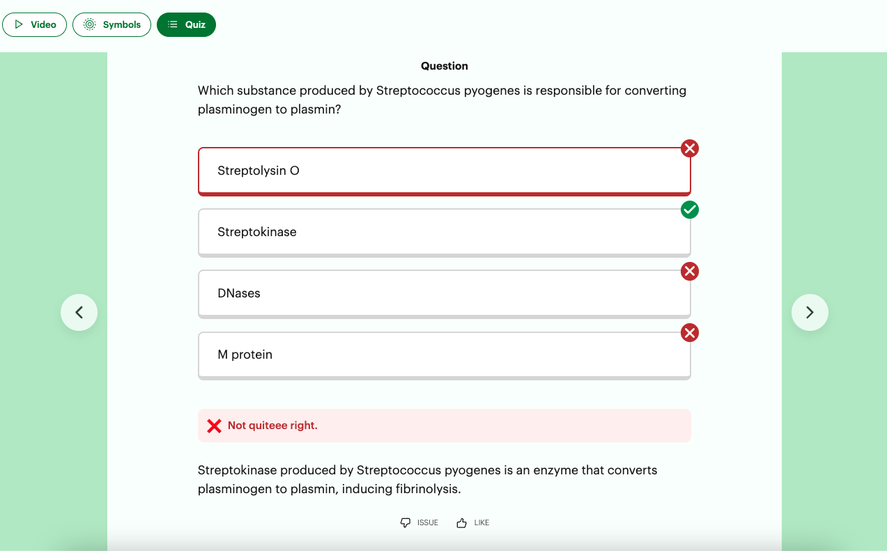 What the screen looks like for an answer.